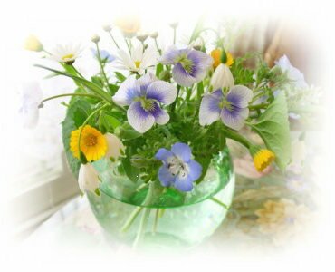 �l�C���X�g